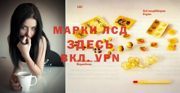 индика Белокуриха