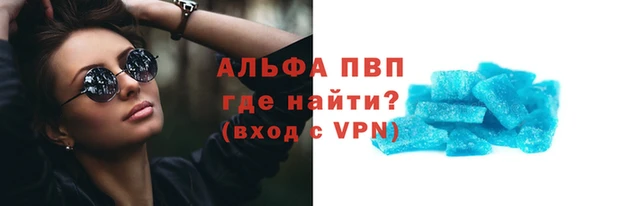 индика Белокуриха