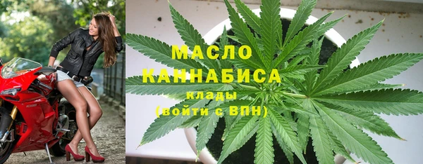 индика Белокуриха