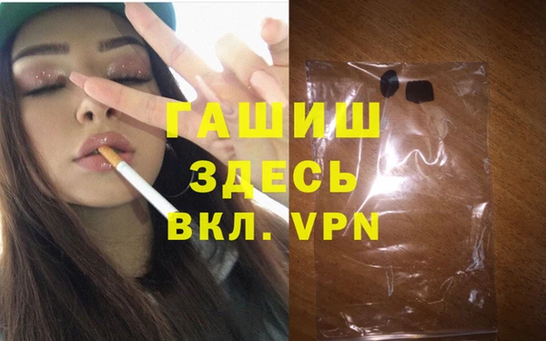 индика Белокуриха